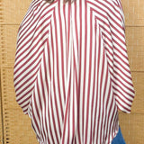 Cinnamon Stripe Button Down Blouse