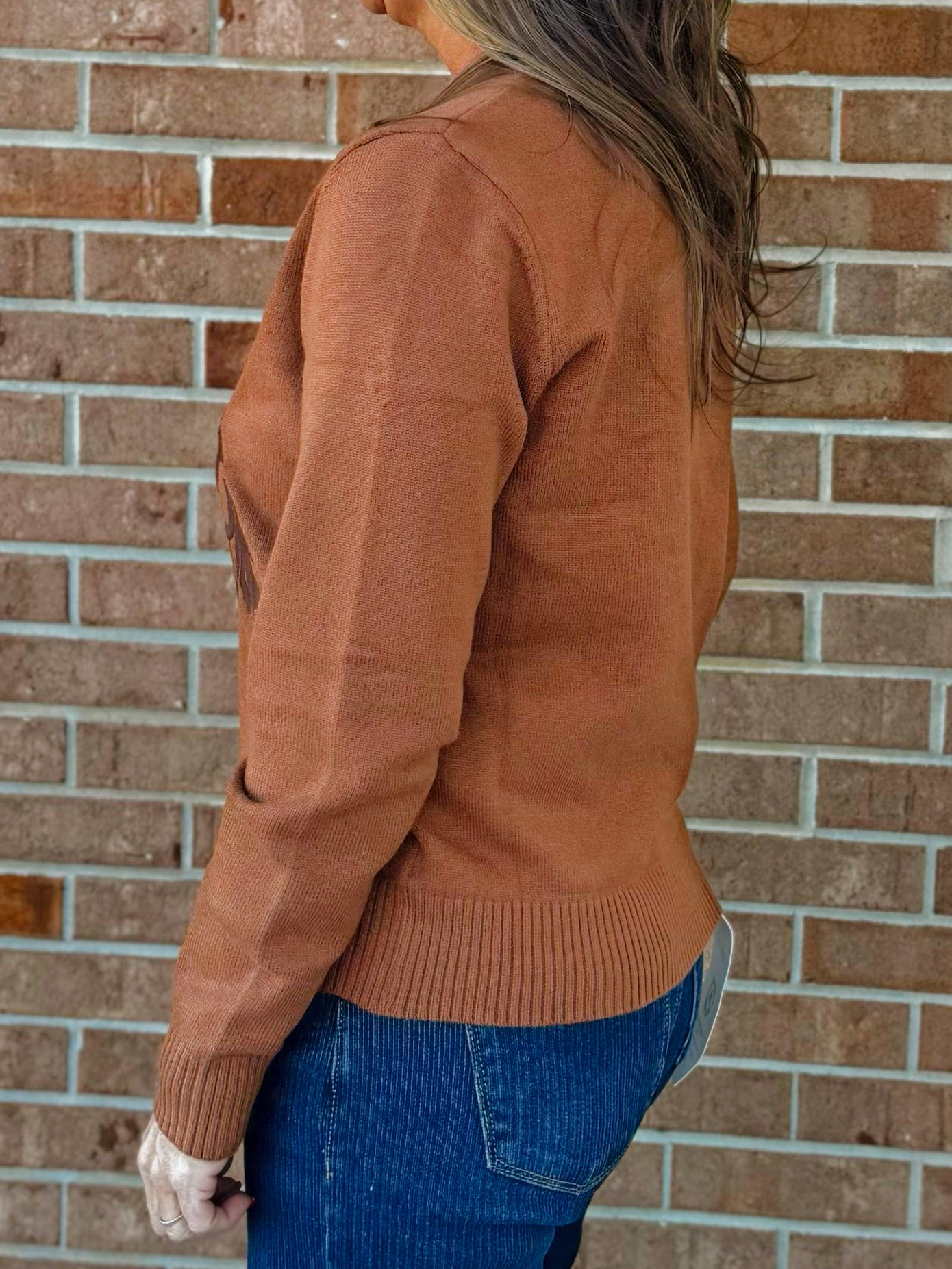 Desert Mustang Sweater - Jessi Jayne Boutique