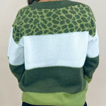 Wild Olive Color Block Sweater - Jessi Jayne Boutique