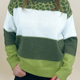 Wild Olive Color Block Sweater - Jessi Jayne Boutique