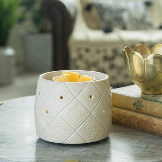 Fragrance Warmer With Built In Fan ( 3 Colors ) - Jessi Jayne Boutique