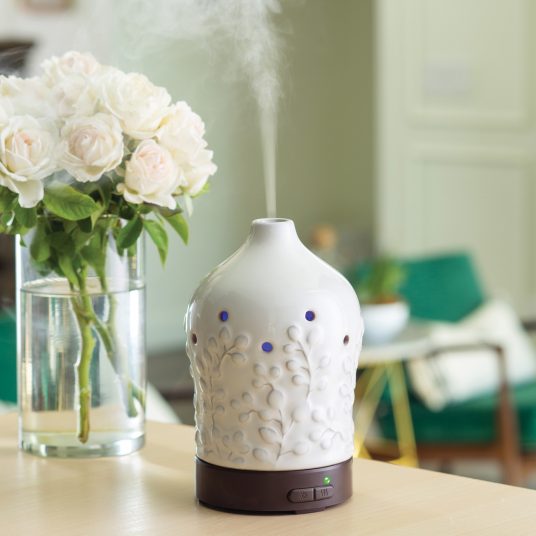 Willow Airome Essentail Oil Diffuser Gift Set - Jessi Jayne Boutique